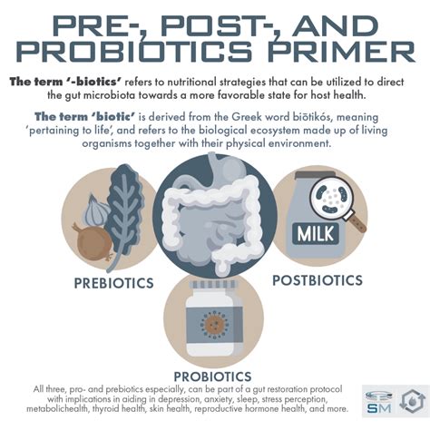 Prebiotics, Probiotics, and Postbiotics: The Science Behind Them And How to Use for Optimal ...