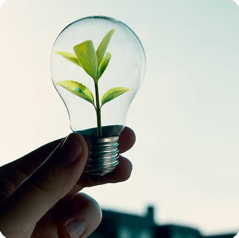 Sustaind – ESG, Carbon Credit Services Consultants