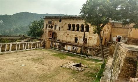Arki Tourism (2023): Best of Arki, India - Tripadvisor