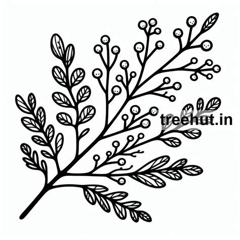 Branches Coloring Pages
