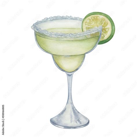 Watercolor illustration of hand painted green cocktail Margarita with ...