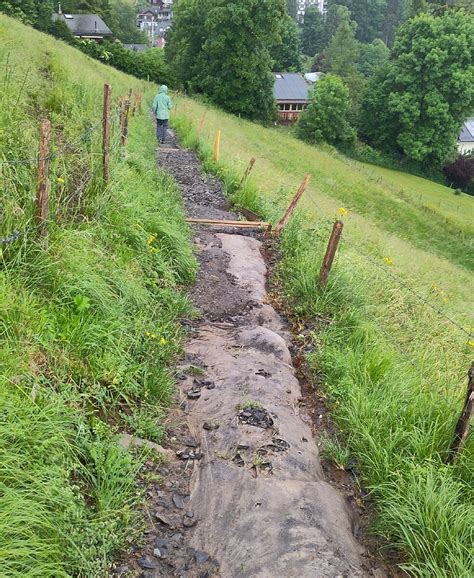 SENTIER DES NARCISSES (2026) All You Need to Know BEFORE You Go (with ...