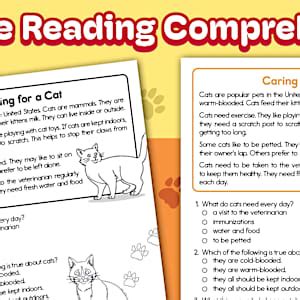 Second Grade Pet Care of a Cat Reading Passage Comprehension Worksheet