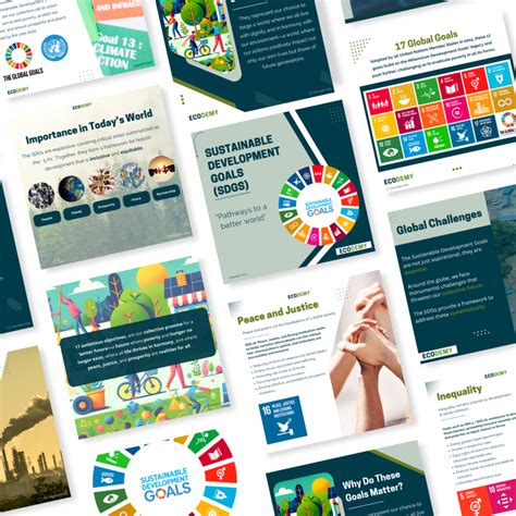 Sustainable Development Course 的图像结果