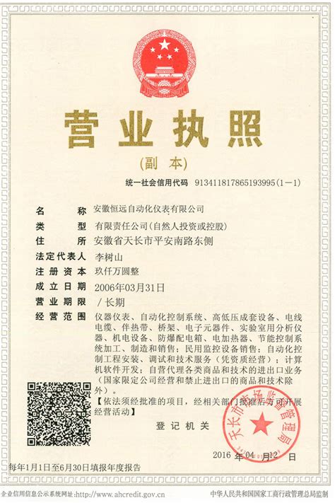 营业执照 - 安徽恒远自动化仪表有限公司_营业执照