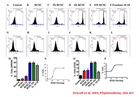Dr. Ramakrishna Wusirika | Central University of Punjab