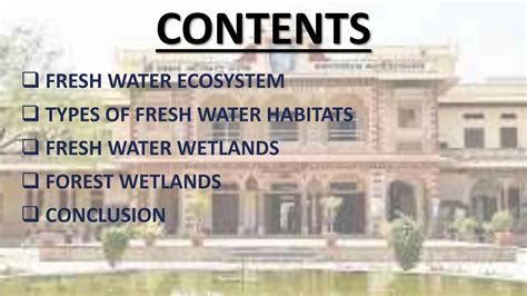 FRESH WATER ECOSYSTEM msc zoology and all | PPT