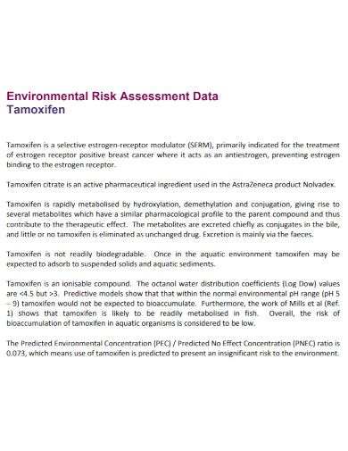 Environmental Risk Assessment Examples 的图像结果