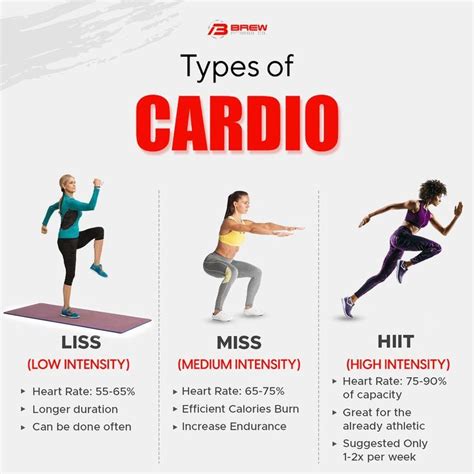 Image result for Exercise Examples Cardiovasculas