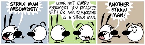 Image result for Straw Man Logical Fallacy Examples