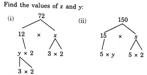 CBSE CLASS 6 QUESTION please answer - Brainly.in