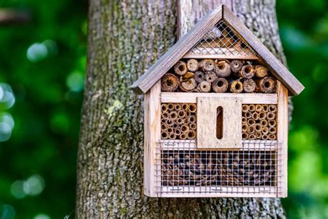 Image result for Flow Hive Problems