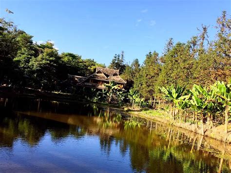 2024中科院西双版纳热带植物园游玩攻略,植物园建议一日游，这里很大...【去哪儿攻略】
