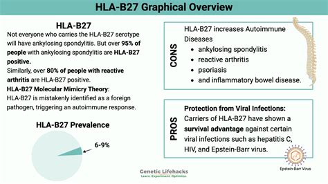 HLA-B27: Genetic Variant That Increases Susceptibility to Autoimmune Diseases