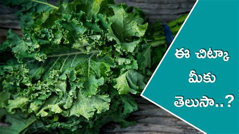 Weight Loss With Kale: If You Eat Kale Leaves Regularly Will Lose ...