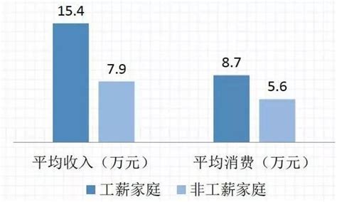 在中国，家庭年收入20万，属于什么水平？|年收入|家庭年收入|高收入_新浪新闻
