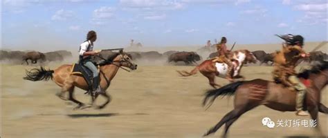 与狼共舞最新素材