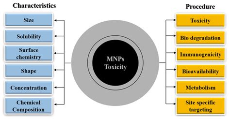 Potential Toxicity of Iron Oxide Magnetic Nanoparticles: A Review