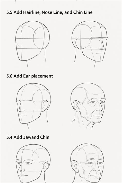 Image result for Loomis Method of Drawing
