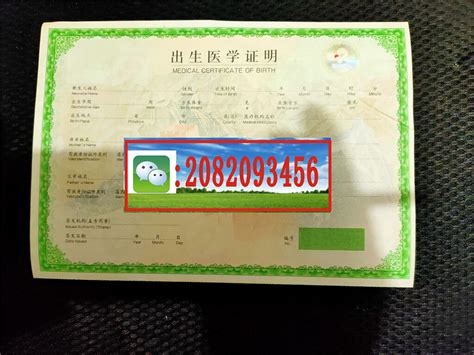 全国首张出生医学证明电子证照广州签发