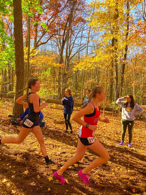 63 Xc aesthetic ideas | running inspiration, running motivation ...