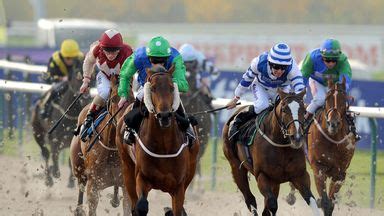 Wolverhampton abandoned | Racing News | Sky Sports
