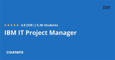 It Project Manager 的图像结果
