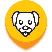 Pedigree Puppy Wet Dog Food, Chicken Chunks in Gravy, 70 g (Pack of 30 ...