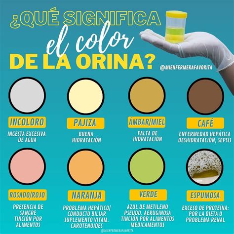 Qué significa el color de la orina- mienfermerafavorita | Color de la orina, Cosas de enfermeria ...