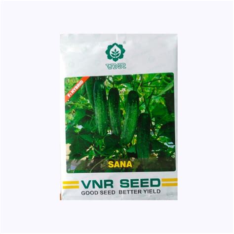 VNR Cucumber Seeds | Buy Online in India at Best Price – Desikheti