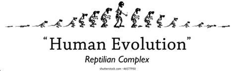 Funny Human Evolution Chart 的图像结果