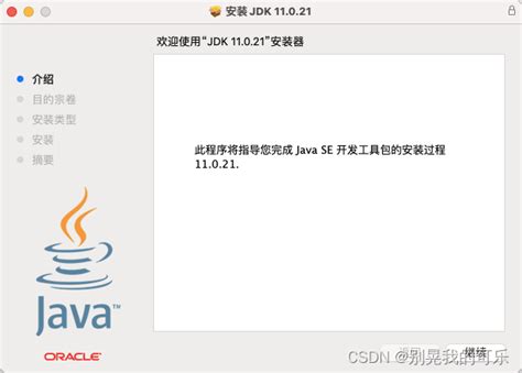 Java 11 Mac Tutorial 的图像结果