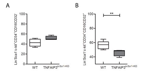 TNFAIP3 Deficiency Affects Monocytes, Monocytes-Derived Cells and ...