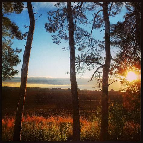 SAWDON HEIGHTS (Scarborough) - Lodge Reviews, Photos, Rate Comparison ...