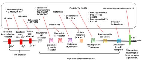 Mechanisms of Nausea and Vomiting: Current Knowledge and Recent Advances in Intracellular Emetic ...