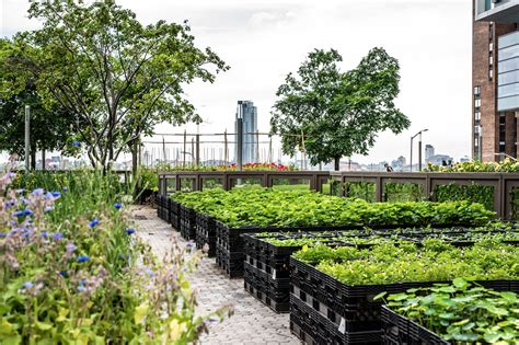 Exploring Manhattan's Largest Urban Farm Oasis — AGRITECTURE
