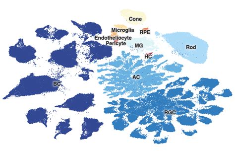 Mouse Cart Cell Image 的图像结果