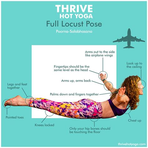 Locust Pose