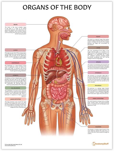 Image result for Body Control Module