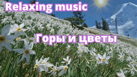 Красивая, душевная музыка для релаксации, настроения, успокоения ...