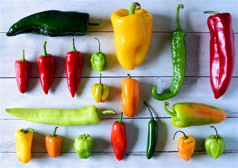 Pepper Identification Chart | 17 Types of Peppers Explained – VRIMCA