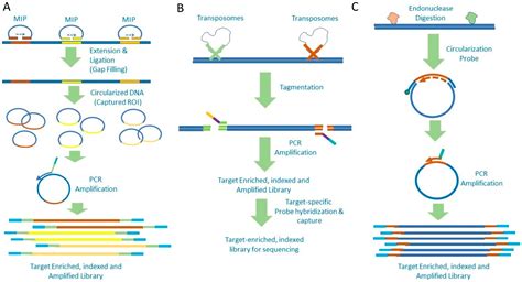 Next-Gen Sequencing 的图像结果