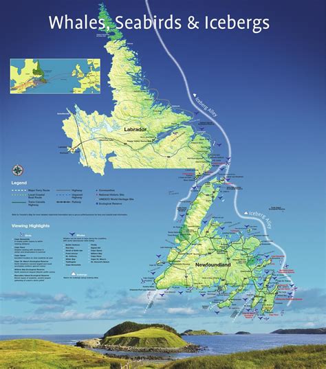 Whales, Seabirds & Icebergs map | Newfoundland travel, Canada travel, Newfoundland canada