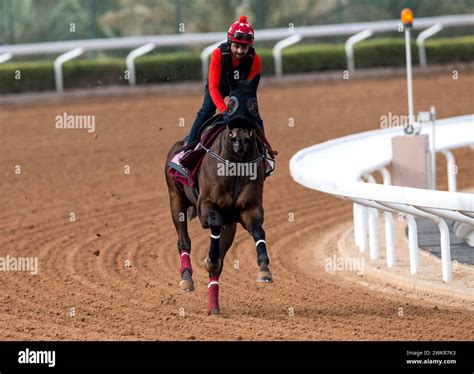 Imagination Guts It Out in the Riyadh Dirt Sprint