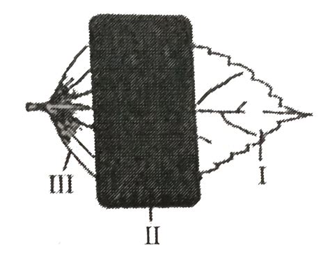 Given alongside is a sketch of a leaf partially covered with black ...