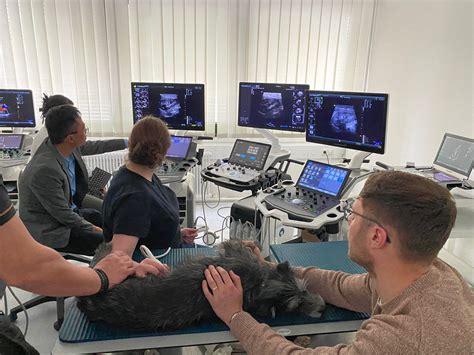 A peek into our world - Portable Ultrasound Machines