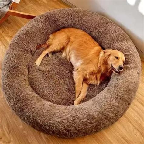 Gorgeous Dog And Cat Bed Small Size For Small Pets Ultra Soft Velvet ...