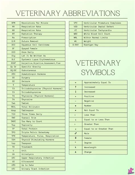 The Ultimate Guide to Veterinary Medical Abbreviations and Terminology in 2025 | Vet medicine ...