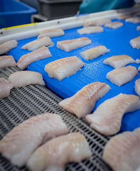 Reopening of Iconic Northern Cod Fishery Monumental for People and ...