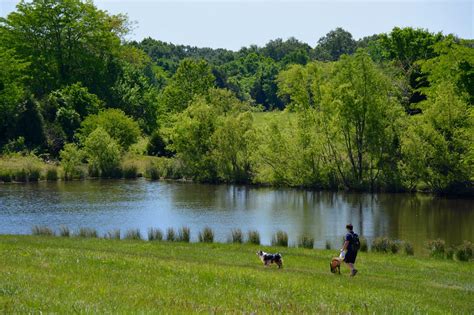 Shelby Farms Dog Park - Top Dog Parks